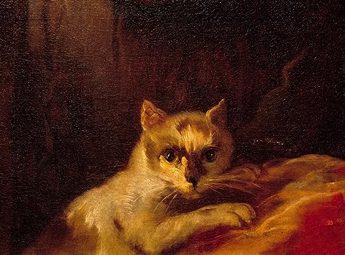 Tableau Toile Charles Natoire Peinture Décorative Chat 60x90cm