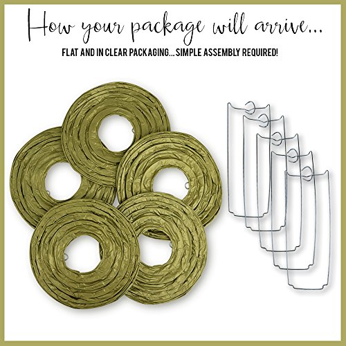 Just Artifacts 8-Inch Gold Chinese Japanese Paper Lanterns (Set Of 5, Gold) #TOP2