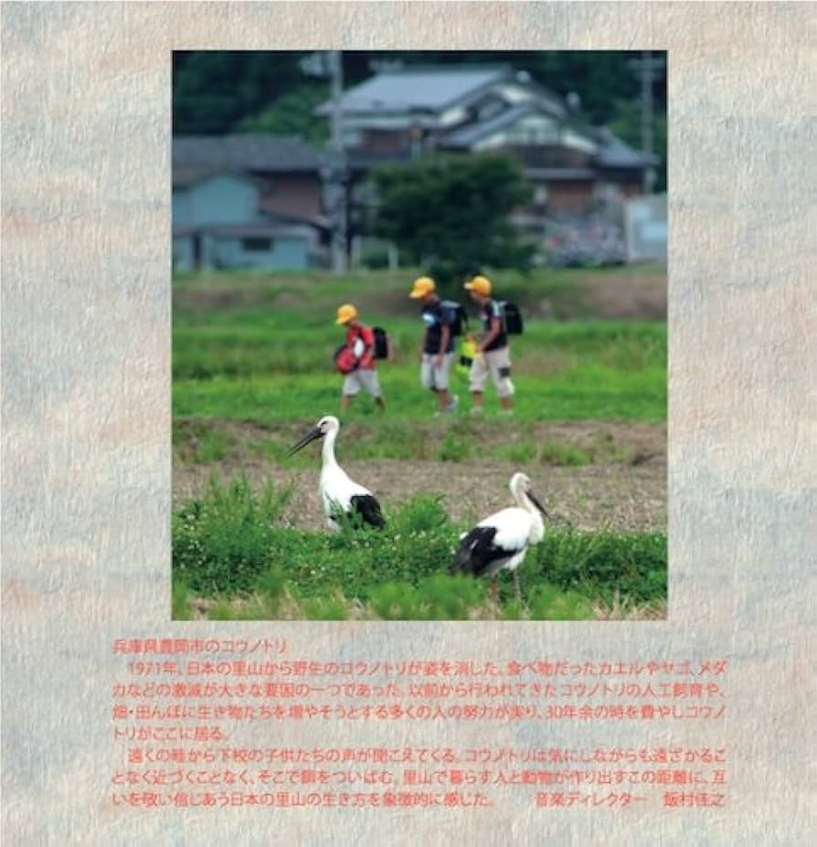 Amazon.co.jp: 里山 NHK BSプレミアム「ニッポンの里山?ふるさと