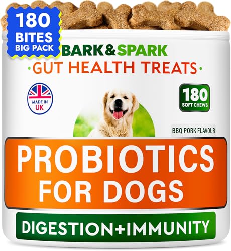 How to make a dog poop fast