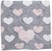 Little Love by NoJo Appliqued Coral Fleece Blanket, Hugs and Kisses