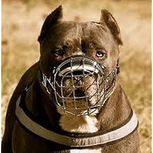 Strong Metal Wire Basket Muzzle for Amstaff & Pitbull and other dogs (Silver Basket / Black Leather, R1)