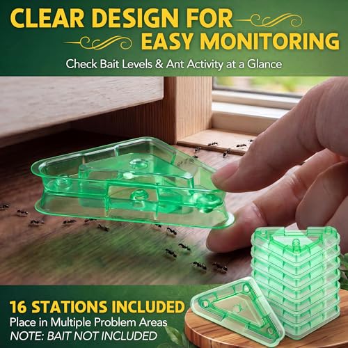 Image of Qualirey Ant Bait Stations Reusable (Bait NOT Included), Multi Surface Ant Killer Trap for Home Control for Indoor and Outdoor Roach Station for Common Household(Triangular,Green,16 Set)