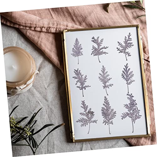 48 hojas secas naturales Artemisia para manualidades miniatura 5