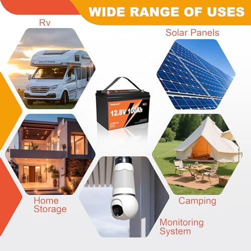 2 Pack 12V 100Ah LiFePO4 Battery