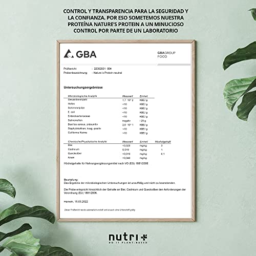 Nutri + Natures Protein Vanille 1000 g - natürliches Proteinpulver ohne Süßungsmittel Zucker & Milch - 83,1% Eiweiß pflanzliches Eiweißpulver 1 kg