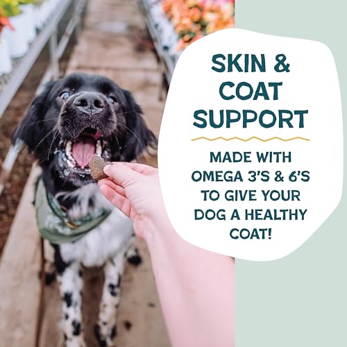 Shameless Pets Soft-Baked Dog Treats, Bananas for Bacon, Omega 3 & 6, 1-Pack - image 4