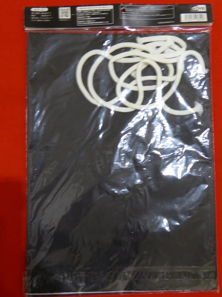 dive×THE MODS(ザ モッズ)『オリジナル フラッグ』森山達也/新品 dive×THE MODS(ザ モッズ)『オリジナル フラッグ』森山達也/新品