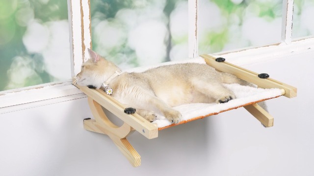 Amaca Per Gatti Da Finestra Pawtasy - Regolabile, 47.5x42 Cm, Fino 22.7 Kg, Reversibile, Sicura - Foto 3