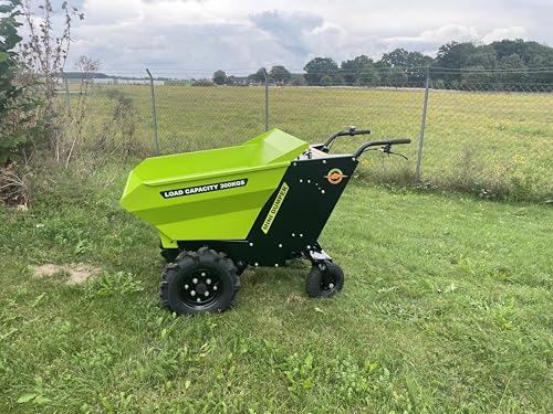 E Power Mini Dumper 300, Elektrischer Minidumper mit 300kg Tragkraft, Motorisierter Schubkarren, Grün-Schwarz