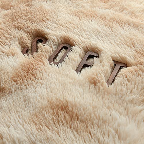Hutha 5X8 Large Area Rugs For Living Room, Super Soft Fluffy Modern Bedroom Rug, Tie-Dyed Beige Indoor Shag Fuzzy Carpets For Girls Kids Nursery Room Home Decor #TOP6
