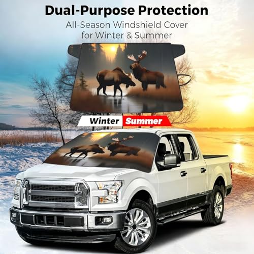 Protector de escarcha para coche ideal en mañanas frías de montaña 7