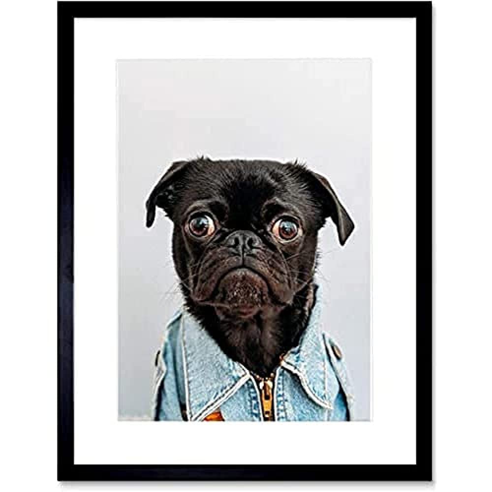 Deluvio Pug Puppy Dog in Jacket Wall Art Print