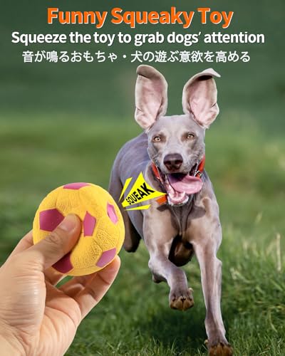 SCHITEC Quietschende Hundebälle, [4 Stück] Latex Hundespielzeug, Interaktive Hundebälle mit Quietscher für Mittelgroße Hunde, 2.8'' Soft Bouncy Fetch Play Bälle Spielzeug