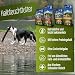 DeliBest Adult Sensitive Complete Dog Rind I Halbfeuchtes Futter für Hunde Adult I aus 100% Schweizer Rindfleisch I getreidefrei & ohne andere Zusätze I Hundefutter kaltgepresst I 1 kg