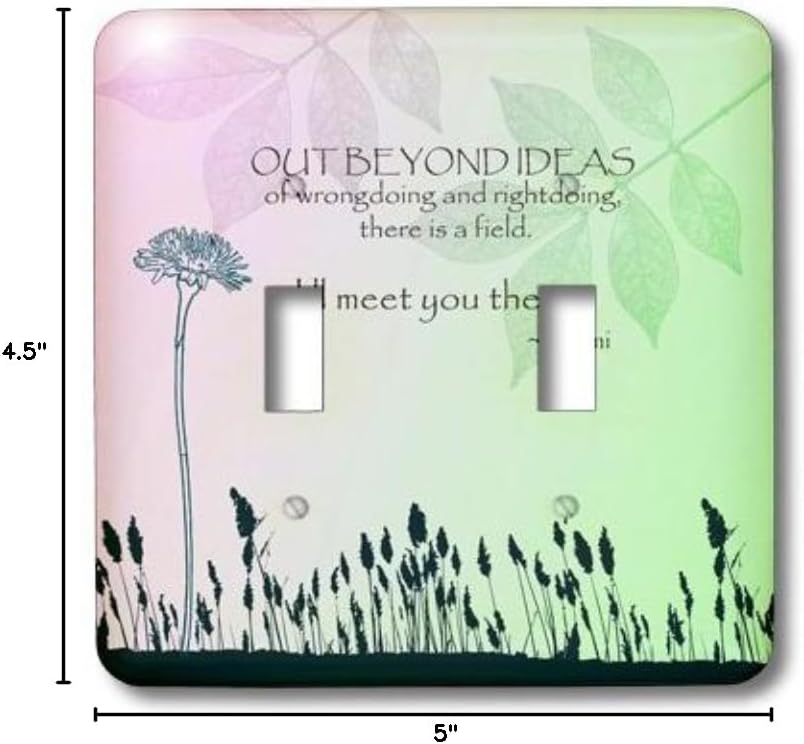 3dRose lsp_79325_2 Out Beyond Ideas Rumi Quotes Inspirational Art Double Toggle Switch