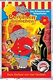  Folge 81: Das Geheimnis der Tempelkatze [MC] [Musikkassette]