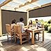 Amagenix Premium Outdoor Roller Shades 8'(W) x 8'(H), Exterior Cordless Patio Shades Roll up Outdoor Blinds for Porch Gazebo, Crank Operated with Aluminum Protective Valance, Mocha