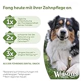 WHIMZEES Zahnbürste S, 24 Stück – Größe S, Kaustangen für kleine Hunde zur Zahnpflege, Getreidefrei, Natürlich, ohne Zuckerzusatz