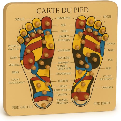 Eurotel - Planche Bois Carte du Pied Massage Réflexologie/Acupression
