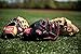 Rawlings Prodigy Youth Baseball Glove, Regular, Pro H Web, 12 Inch