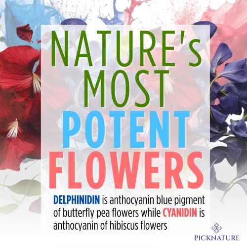 Picknature 100% Usda Organic Purple Hibiscus Butterfly Pea Flower Tea Loose Leaf Whole Petals | 7.0 Oz (Bundle Pack 600+ Cups) | Herbal Blue Tea Gifts | Freshly Picked From Thailand #TOP5