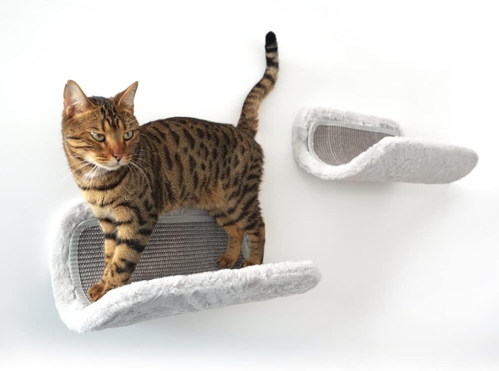 BIG NOSE- Cat Wall Perches Floating Shelves Solid Wood Set of 2 Embrace Design Grey
