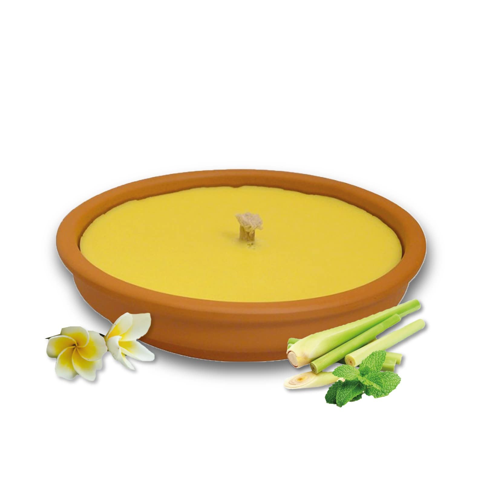 Crisalide® Candela alla Citronella, Fiaccola, Prodotto in Italia, Giardinaggio, Antizanzare, Esterno, Feste e Eventi. (18cm 11 ore, Set Argilla)