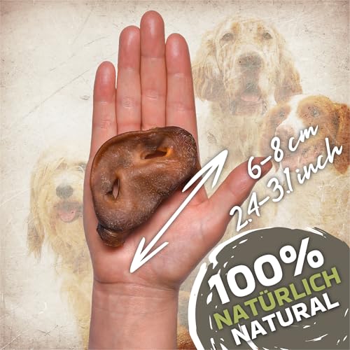 Schweinenasen Naturprodukt für Hunde 500g (ca. 15-20 Stück) | Getrocknete Schweinenasen Kausnack | Gesunde Hundesnacks zur Zahnpflege | Proteinquelle | Ideal für Diät und Langzeitbeschäftigung
