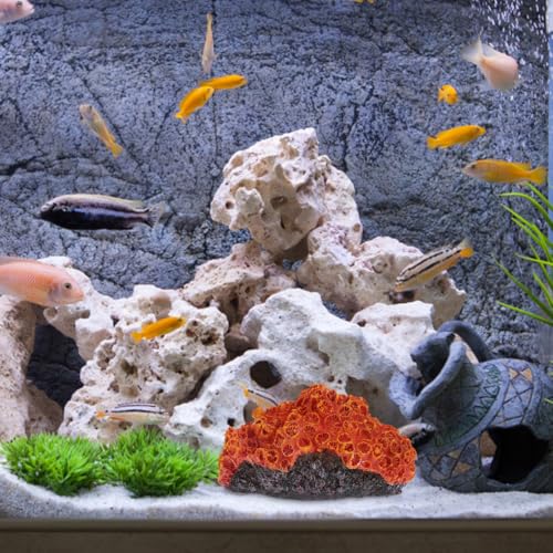 Image of Balacoo Aquarium Coral Reef Ornament 5.11 x 3.93 x 2.75In | Resin landscape, Fresh and saltwater tanks, Aquarium setup