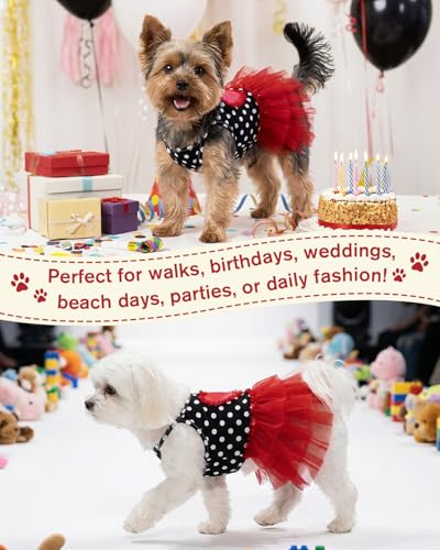 Image of CuteBone Cute Pet Dress for Small Dogs, Cats - Ruffle Princess Outfit with Pleated Heart, Summer Lightweight Breathable Dog Party Clothes for Holiday, Walks, Birthday, Photos DDQ01XS