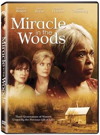 Miracle in the Woods