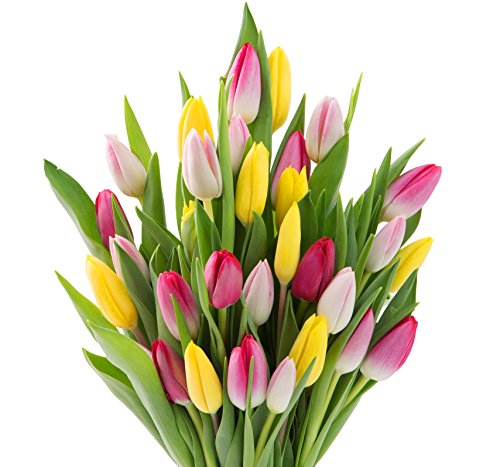 Image of KaBloom-30 Assorted Tulip Bouquet,Flowers for Valentine, Mother's Day