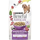 Beneful Playful Life Dry Dog Food - Real Beef & Egg - 15.5 lb
