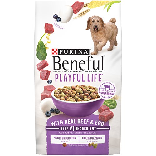 Purina Beneful Playful Life Adult Formula Dry Dog Food Size: 15.5-lb bag