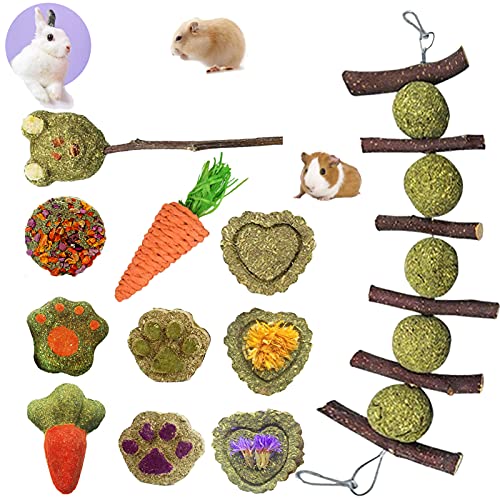 Rabbit Chew Toys for Teeth, Double Head Suspension, Natural Apple Wood Sticks with Timothy Grass Balls, Improve Dental Health for Rabbits Chinchilla Hamsters Guinea Pigs Gerbils Squirrels (Style 1)