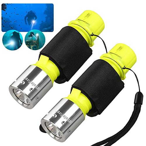 WholeFire Lampe de Plongée 2 Pack, 3 Modes Mini 1000 Lumen Phare de Plongee IPX8 Imperméable Sous Marine Plongée Torche avec 18650 Batterie et Chargeur