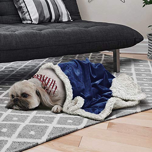 Puppy-Blanket-Super-Soft-Sherpa-Dog-Blankets-and-Throws-Cat-Fleece-Sleeping-Mat-for-Pet-Small-Animals-45x30-Blue - Cucciolini Doodles   Puppy-Blanket-Super-Soft-Sherpa-Dog-Blankets-and-Throws-Cat-Fleece-Sleeping-Mat-for-Pet-Small-Animals-45x30-Blue