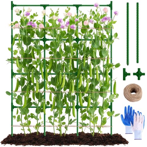 Pea Trellis, Trellis for Peas, 47' L x 65' H Tall...