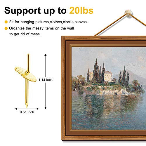 Image of 60pcs Picture Hangers, 20lbs Picture Hanging Hooks, Iron Alloy Nail Hooks, Professional Plaster Picture Hanging Kit on Wooden /Drywall Hanging Hardware for Clock,Mirror,Jewelry Golden (Pack of 2)