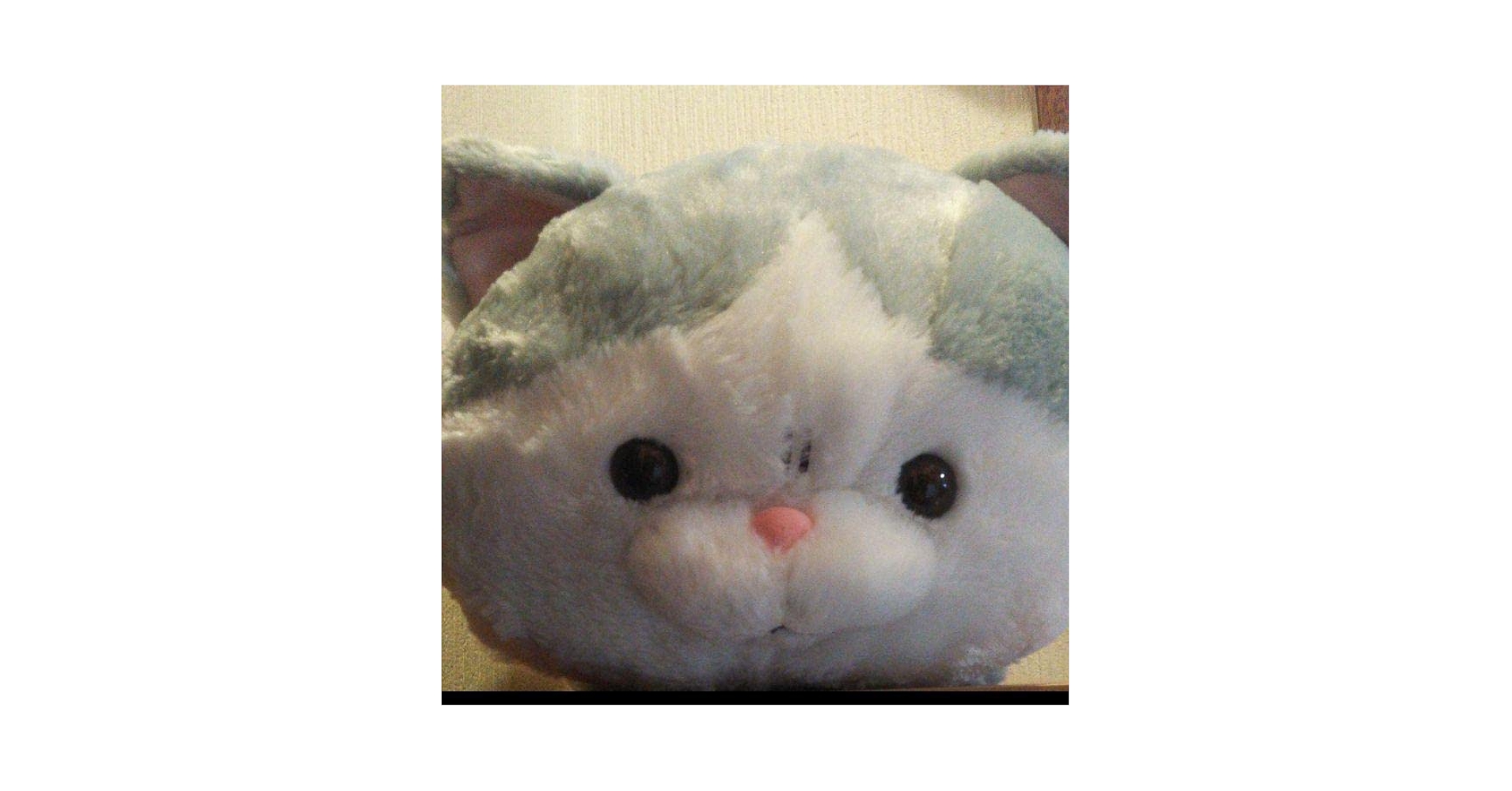 ぶちゃいくねこ様 一度ハマったら抜け出せない！ブサカワの魅力を徹底調査！ - YouTube