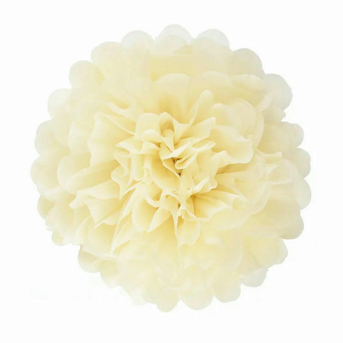 AYHTUD 5pcs 4 6 8 10 12 Inch Tissue Paper Pom Pom Poms Wedding Party Paper Pompom Flower for Wedding Decoration Pompoms Birthday Baby-beige-4 inch 10cm