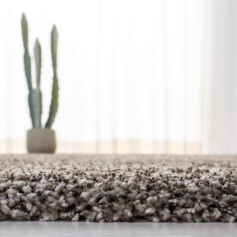 Image of zia carpets Cozy Soft Shaggy Non Slip Carpet for Home Decor Aesthetic Rugs with 2.5 inch Thikness Size 4x6 feet