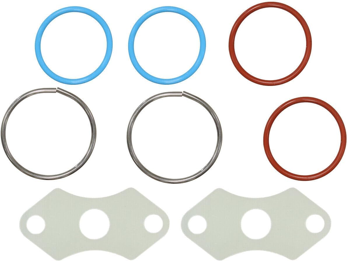 SP1 Fuel Injector Seal Kit for Ski-Doo 600 ETEC Models Except 600R 09-20 and 800 ETEC (All) 11-19 Models SM-07394