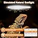 Hygger zoo T5 UVB Reptile Light HO UVB Lighting Bulb 3 Pack, 10.0 8W UVB Light for Reptiles UVA UVB Desert Lamp Reptile Light Bar for Bearded Dragon Turtle Tank
