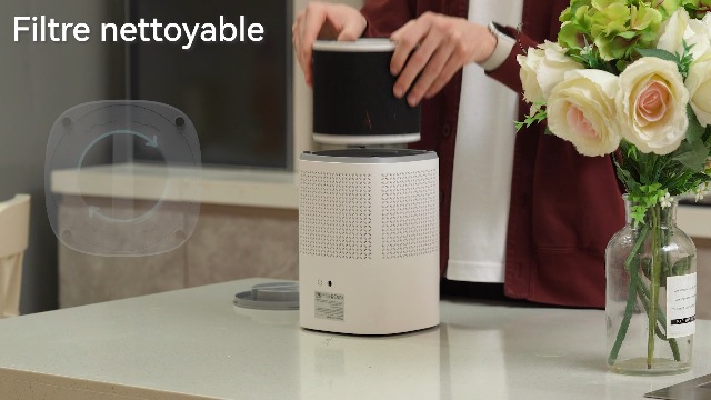 Purificateur d'air domestique avec filtre 3 en 1, élimine efficacement la fumée et la poussière Purificateur d'air domestique avec filtre 3 en 1, élimine efficacement la fumée et la poussière