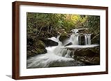 Art.com Framed Wall Art Prints Tennessee, Great Smoky Mountains National Park. Autumn Trees and Waterfall on the Little River by Judith Zimmerman, Places Decor, 18' x 12', Espresso Frame with White Mat