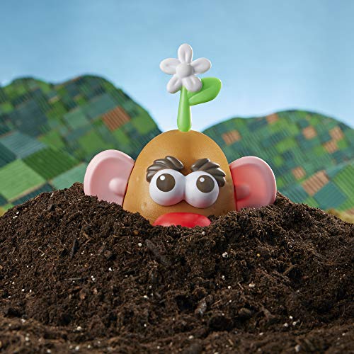 Mr. Potato Head F1053 Mr Potato Head Goes Green Toy thumb #6