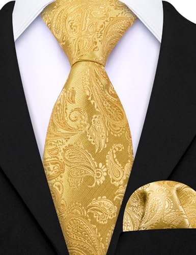 Image of Barry.Wang Boys Ties School Pre-Tied Kids Necktie Handkerchief Clip Set Uniforms Child Ties for 8-14 Years Wedding Party