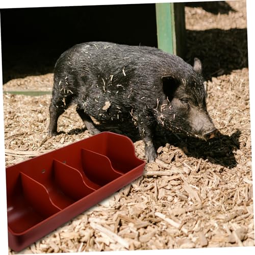 Mangeoire à cochons anti-blessure avec 4 compartiments séparés - 7